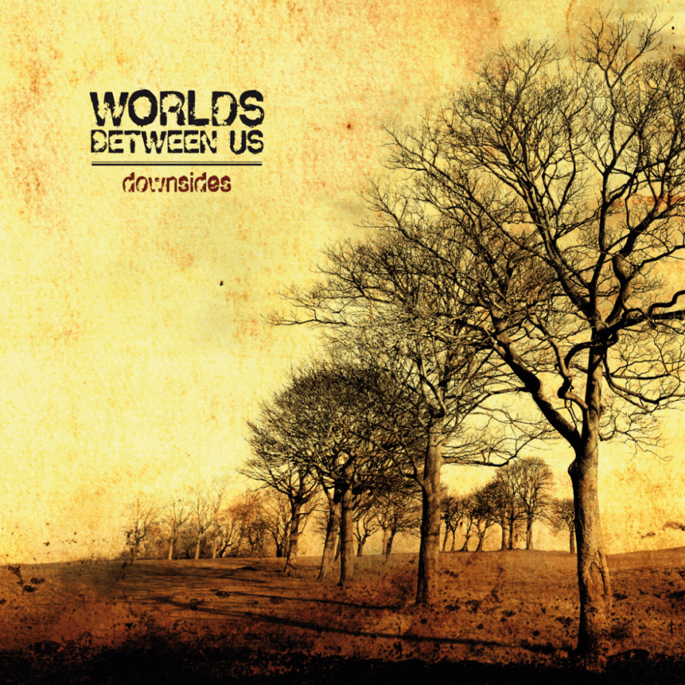 Worlds Between Us - Downsides