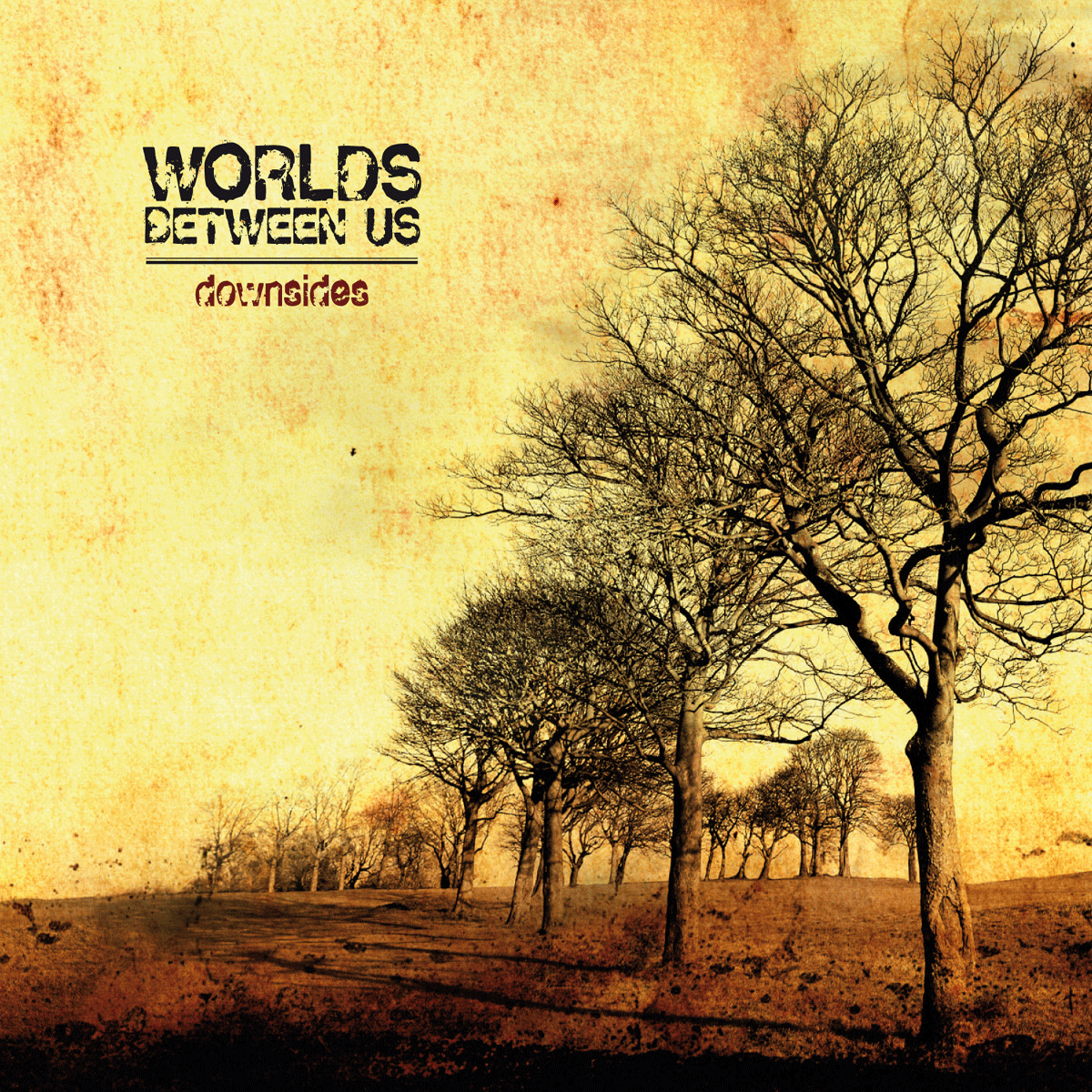 Worlds Between Us Downsides Noise Appeal Records Store