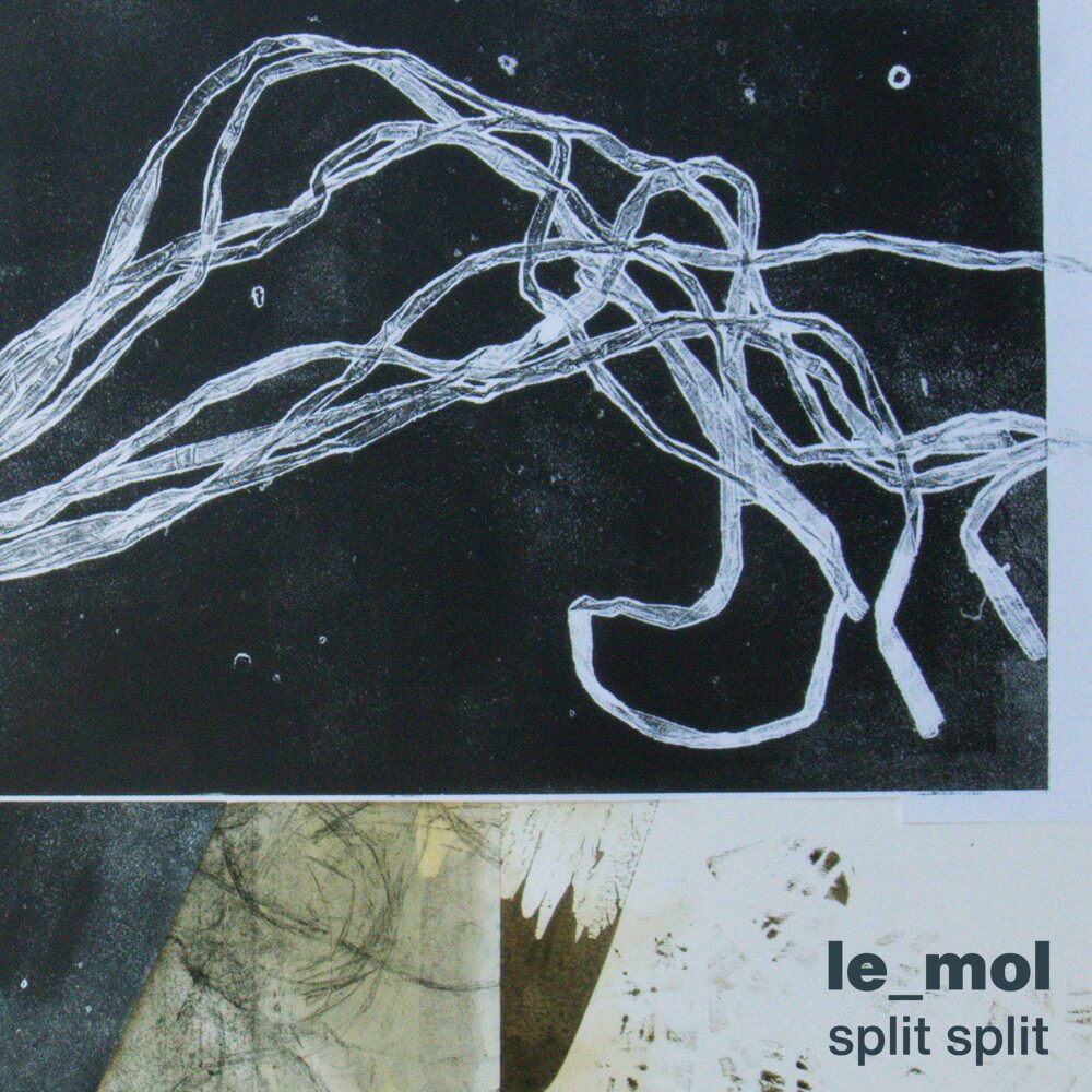 le_mol-split-split_noise259-3000px